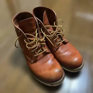 RED WING 레드윙 8166 자수 깃털 택 플레인토 27cm