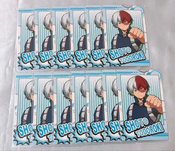 히로아카 토도로키 쇼토 스냅마이드 1 스나마이