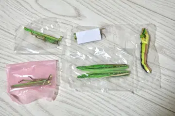 곤충 캡슐 토이 가챠가챠 메뚜기