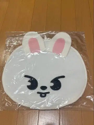 StrayKids Leebit 부채 케이스