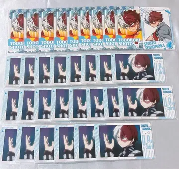 히로아카 토도로키 쇼토 스냅마이드 스나마이