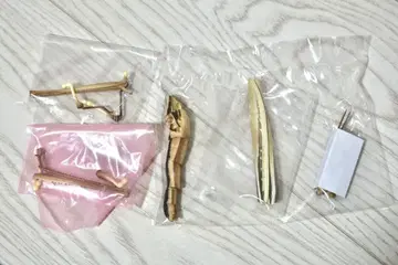 풀무치 생물대도감 메뚜기 가챠가챠 캡슐 토이