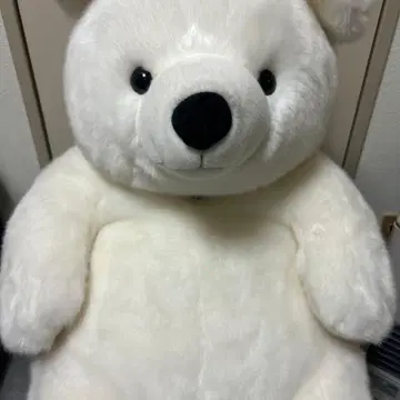 남자가 사슴 수족관 북극곰 고타 군 봉제 인형