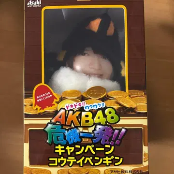 AKB48 캠페인 코우티 펭귄 봉제 인형