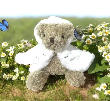 [ 미사용 새상품 ] 타리즈 커피 헤드윅의 망토를 두른 베어풀