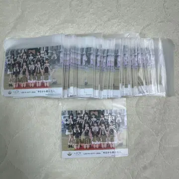 니아 조이 브로마이드