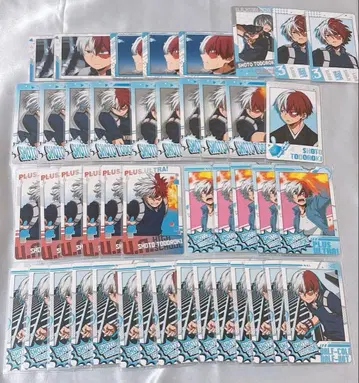 히로아카 토도로키 쇼토 스냅마이드 스나마이