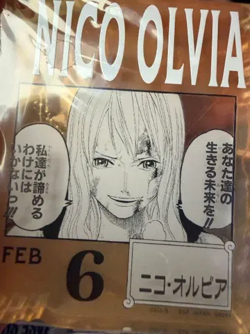 니코 올비아 아크릴 블록 참