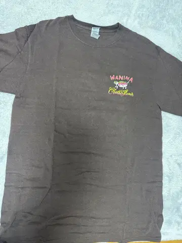 WANIMA 체다플레 투어 파이널 브라운 롱T M