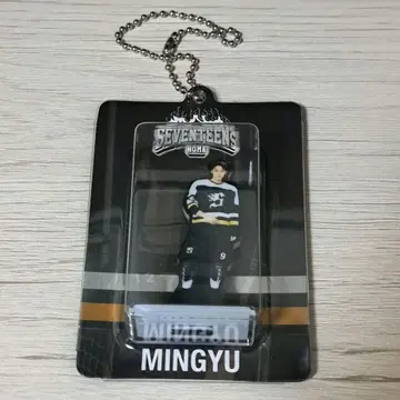 민규 아크링 키링 HOME 2025 JAPAN SEVENTEEN 세부치