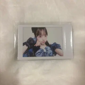 마스다 아야노 생일 빙고 프린트 폴라로이드