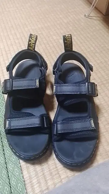 닥터 마틴 포스터 샌들