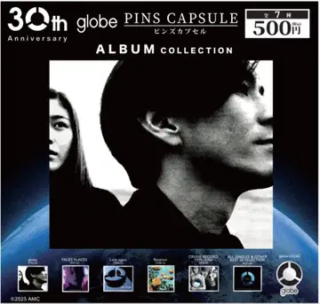 globe 핀 배지 컴프