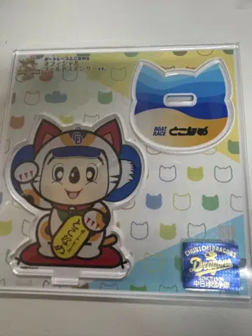 토코나메 경정 도아라 아크릴 스탠드