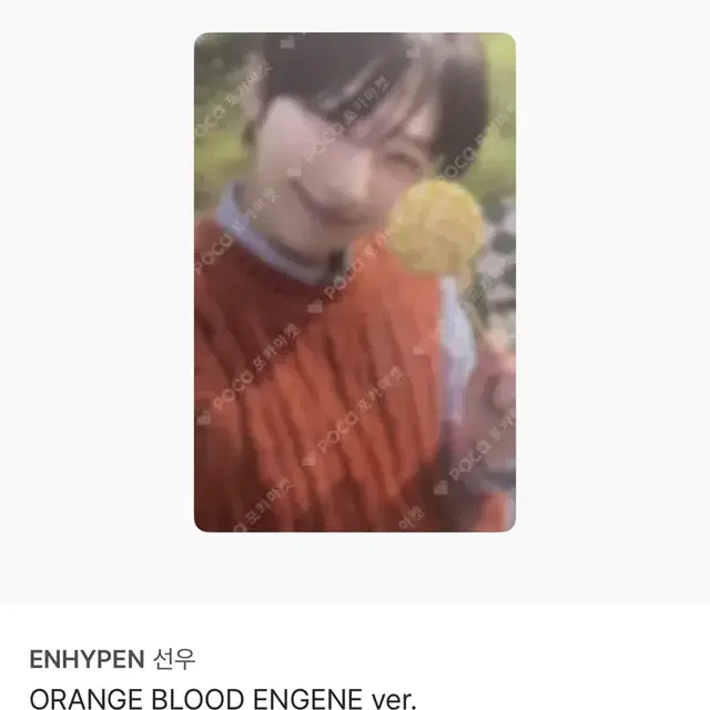 엔하이픈 선우 오렌지블러드 앨범 포카