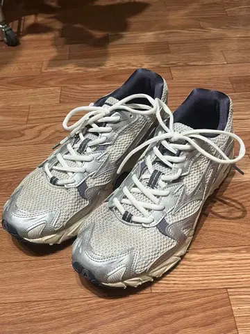 MIZUNO 미즈노 WAVE RIDER 10 웨이브 라이더 10 26.0