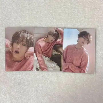 야기 유세이 트레이딩 카드