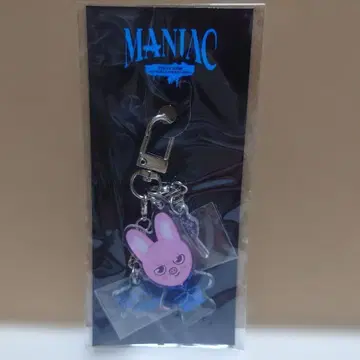 Stray Kids DWAEKKI 아크릴 키링