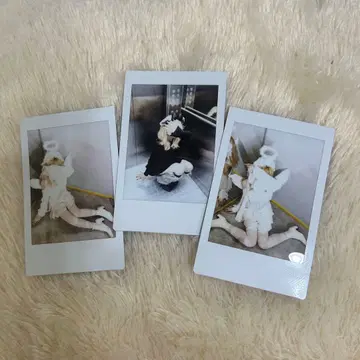 [ 본인 ] 아데하데짱의 할로윈 폴라로이드