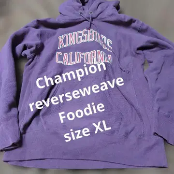 챔피온 리버스 위브 칼리지 프린트 후디 후드티