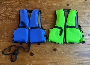 구명 조끼 그린 블루