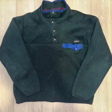 patagonia 스냅t 눈 없음