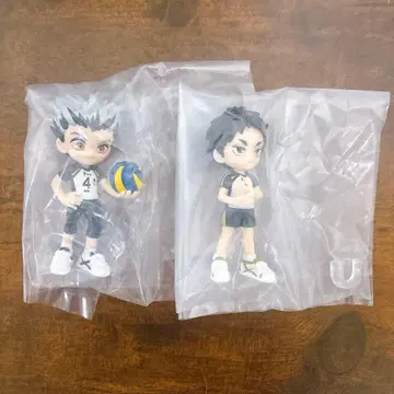 하이큐 palverse 아카아시 보쿠토