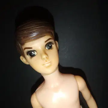 초대 리카짱 보이프렌드 와타루 군 인형 쇼와 레트로 인형