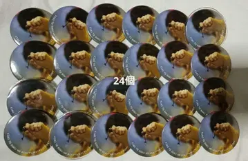 스토푸리 루토 캔 배지 나와 너의 비밀기지 루토 원