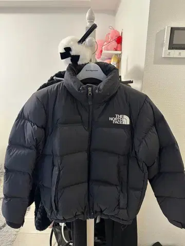 thenorthface 눕시 여성용 M