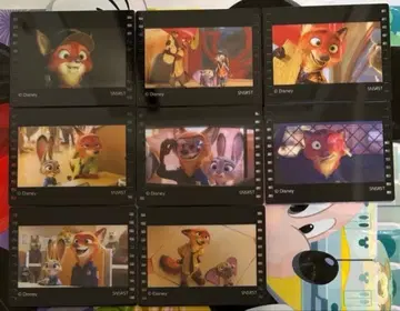 주토피아 아크릴 마그넷 전 8종 세트 Zootopia