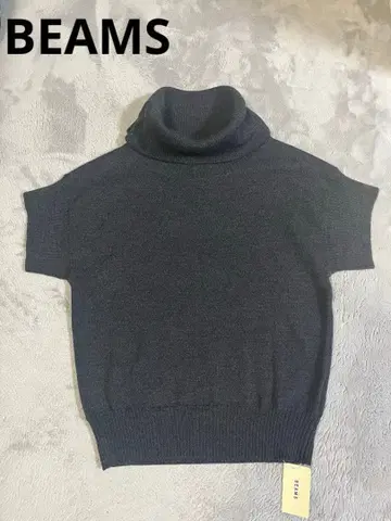 BEAMS 빔즈 오프 터틀 니트 그레이
