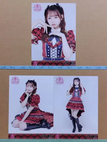 AKB48 오오모리 마호 20th 일본 무도관 랜덤 브로마이드 컴플리트