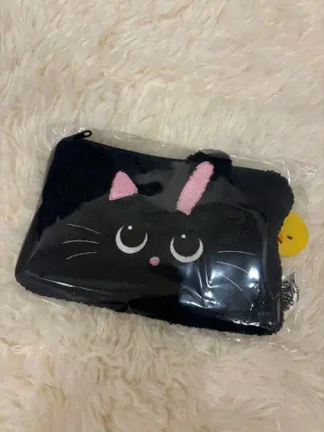 RIIZE 라이즈 토냥독 원빈 얼굴 파우치