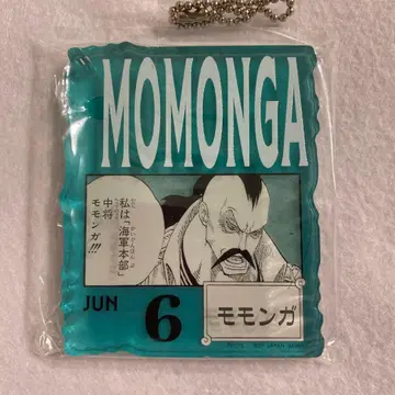 ONE PIECE BASE SHOP 복권 아크릴 블록 모몽가 중장