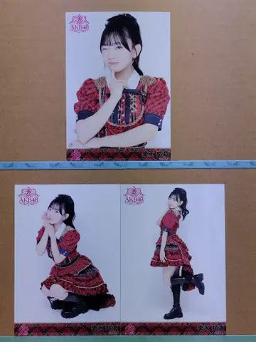 AKB48 토쿠나가 레이미 20th 일본 무도관 랜덤 브로마이드 컴플리트