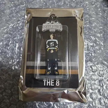 SEVENTEEN HOME 아크릴 키링 THE8