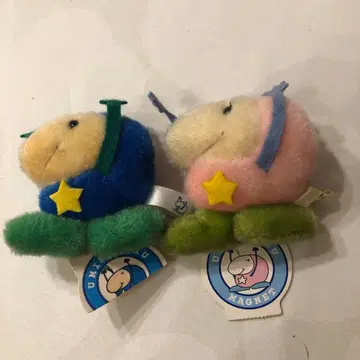 새상품 바다반딧불이 봉제 인형 마그넷 포함 바다반딧불이쨩 바다반딧불이쿤