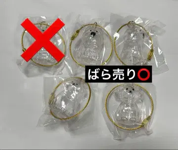 강아지의 타임캡슐