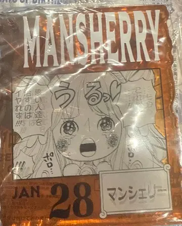 원피스 베이스샵 복권 아크릴 블록 셰리 공주