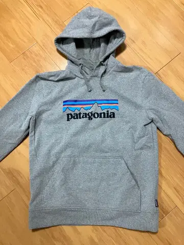 파타고니아 후드티