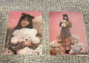 노기BOX 라이트 Teddy Dream Town 모바카 카키 하루카