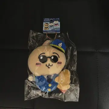 치이카와 (먼작귀) 파이롯트 토끼