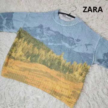 ZARA 니트 크롭 스웨터 풍경화 그라데이션 S