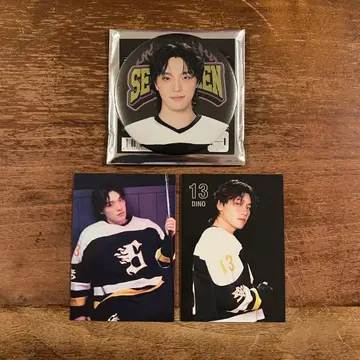 SEVENTEEN 세븐틴 2025 HOME 디노 트레이딩 카드 캔뱃지