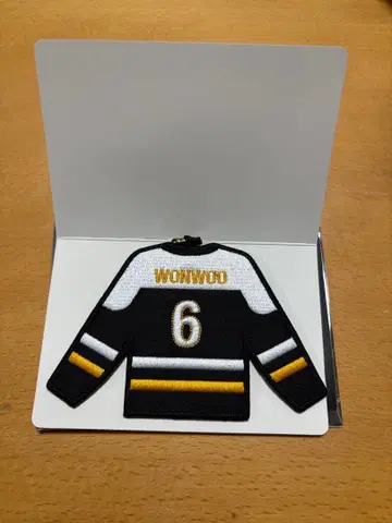 세븐틴 HOME 와펜 키링 원우