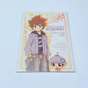 REBORN 엽서 세트 A