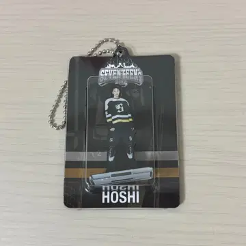 SEVENTEEN HOME 아크릴 키링 호시