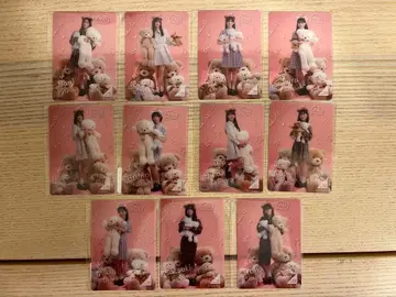 노기BOX 라이트 Teddy Dream Town 모바카 노멀 5기