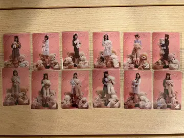 노기BOX 라이트 Teddy Dream Town 모바카 노멀 4기